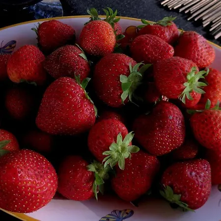 Nocleg ze śniadaniem La Claverie Sainte-Radégonde-des-Noyers