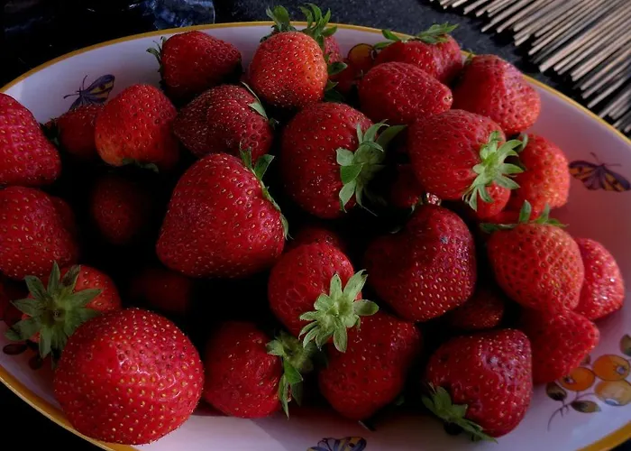 Alojamento de Acomodação e Pequeno-almoço La Claverie Sainte-Radégonde-des-Noyers